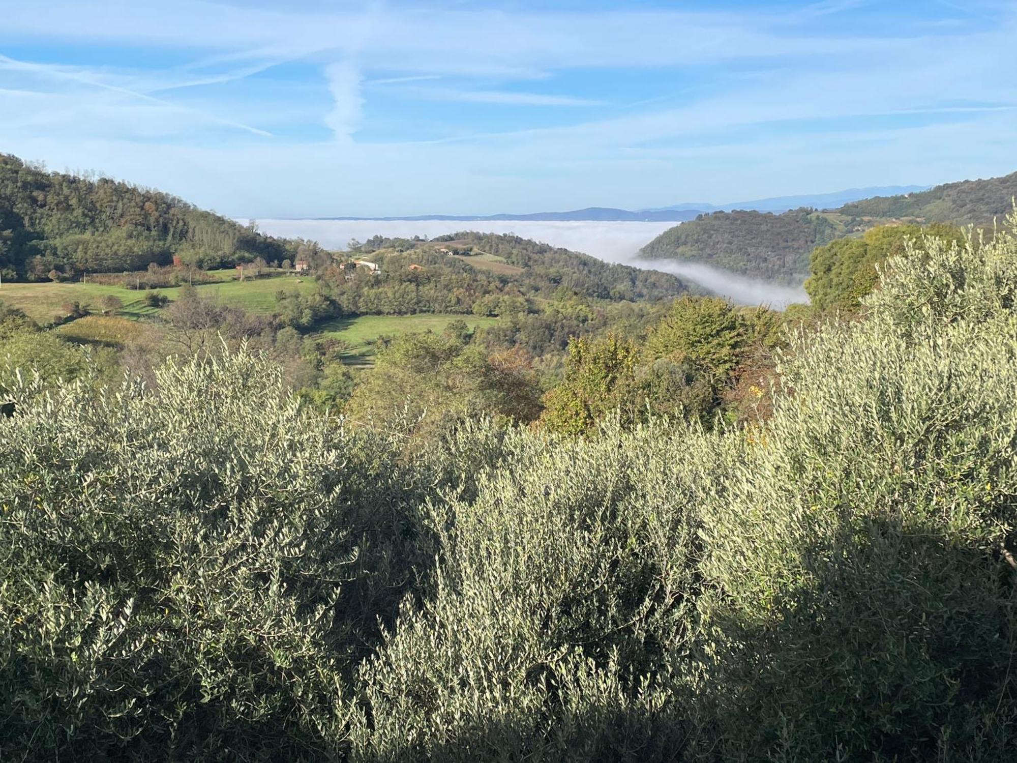 Agriturismo Ai Gradoni Teolo Buitenkant foto